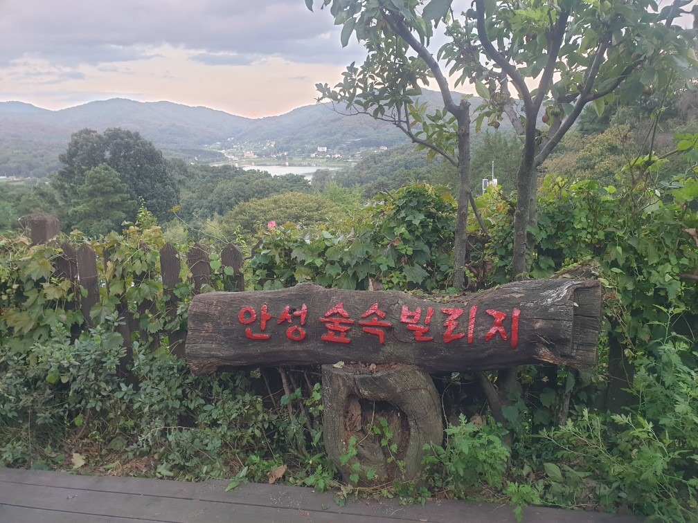 안성숲속빌리지 펜션 picture 1