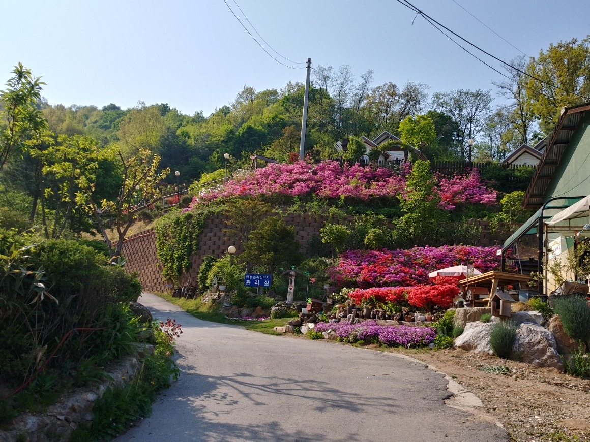 안성숲속빌리지 펜션 picture 3