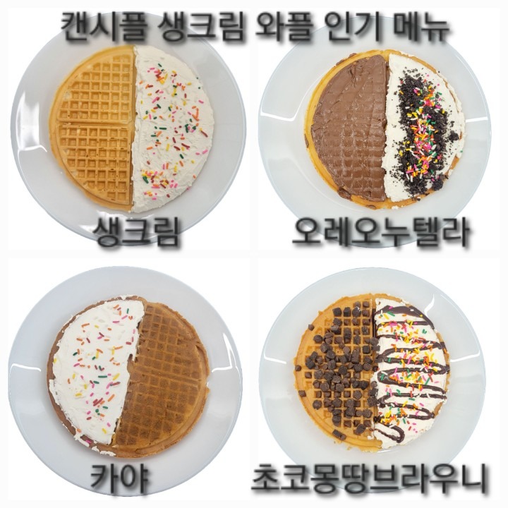 캔시플 picture 4