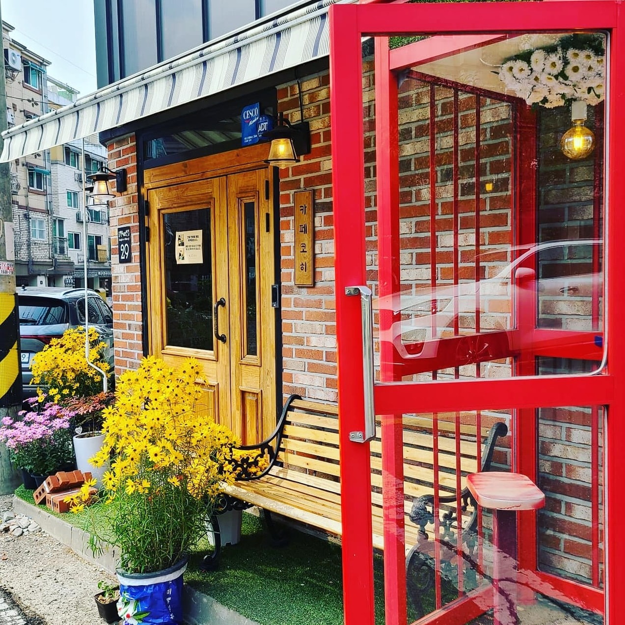 카페코히 picture 0