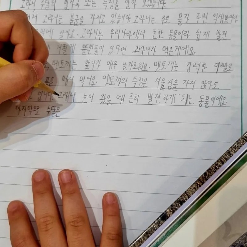 책나무 위례 picture 4
