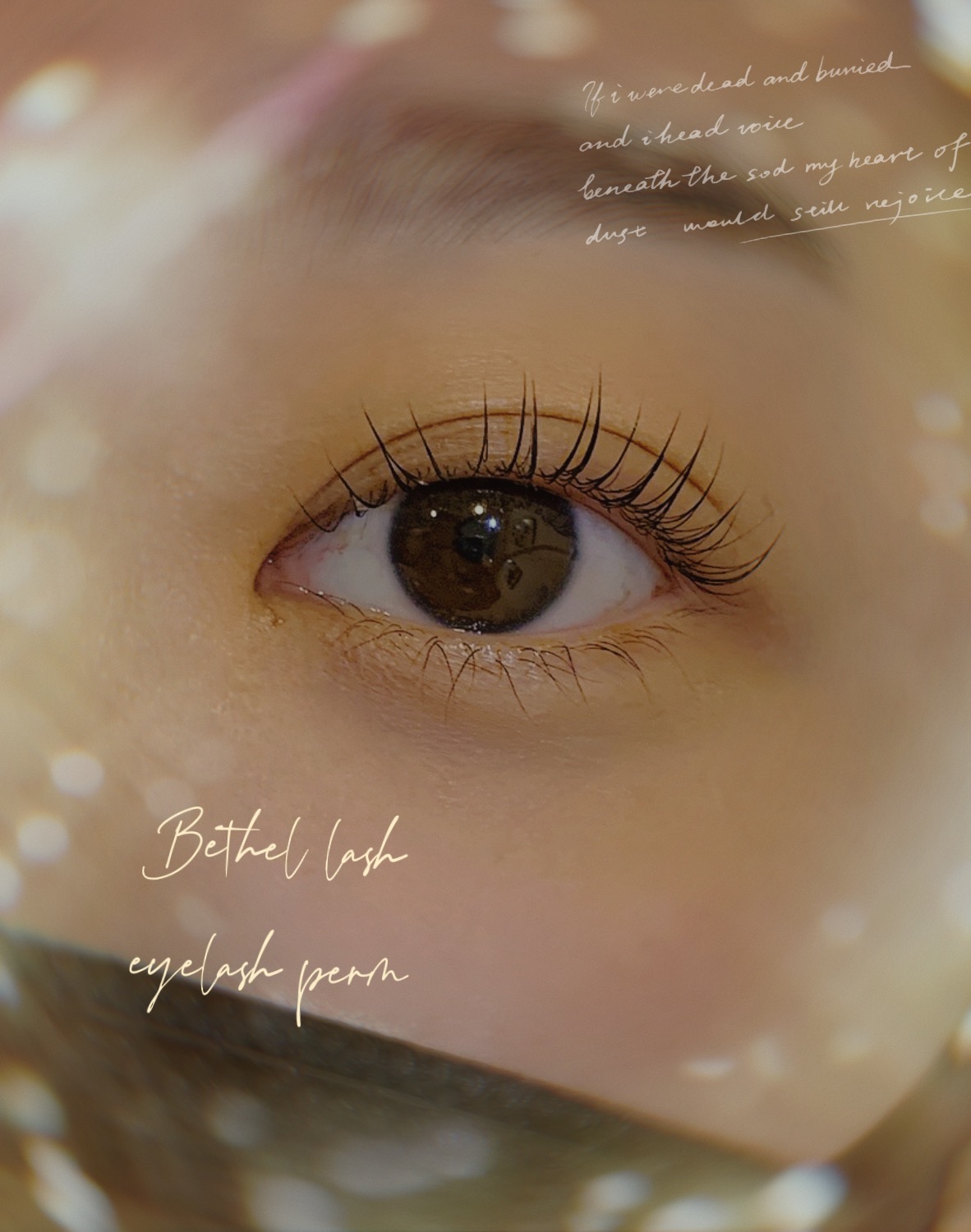 베델래쉬 picture 0