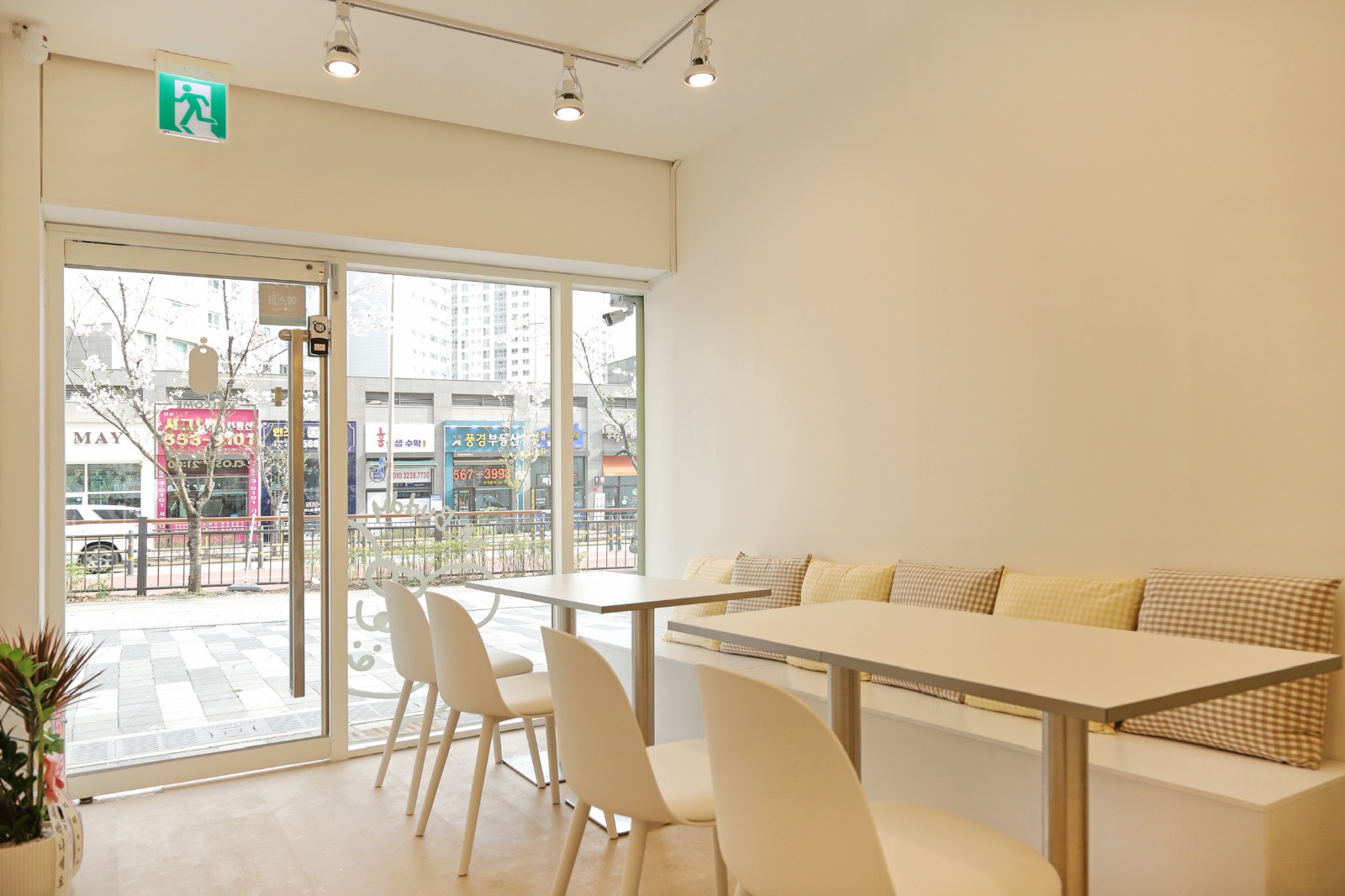 하이버디 카페 picture 9