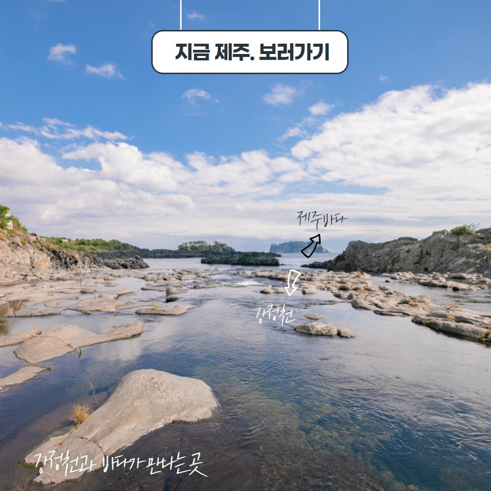 켄싱턴리조트서귀포점 picture 1