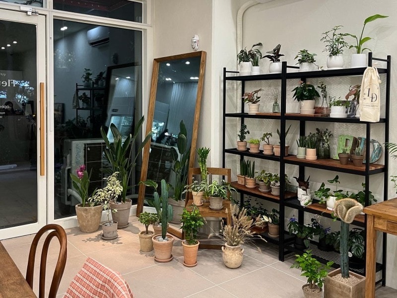 플레로드 picture 3