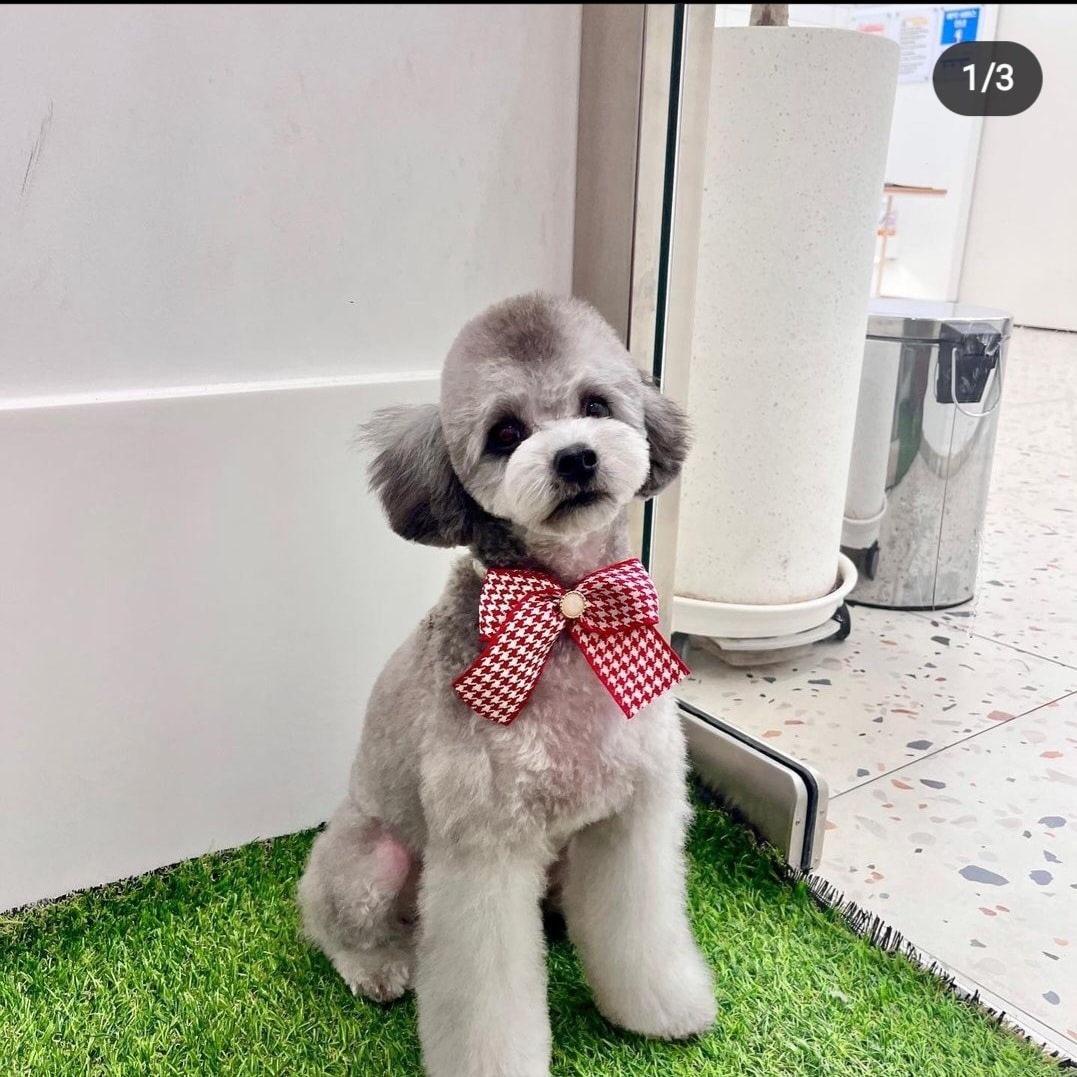 헤아림동물병원 picture 2