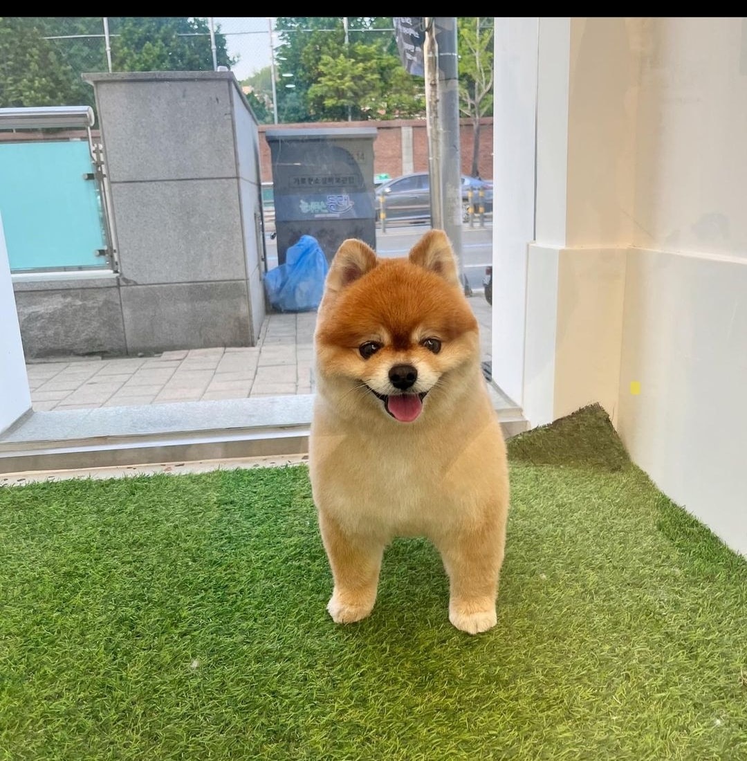 헤아림동물병원 picture 6