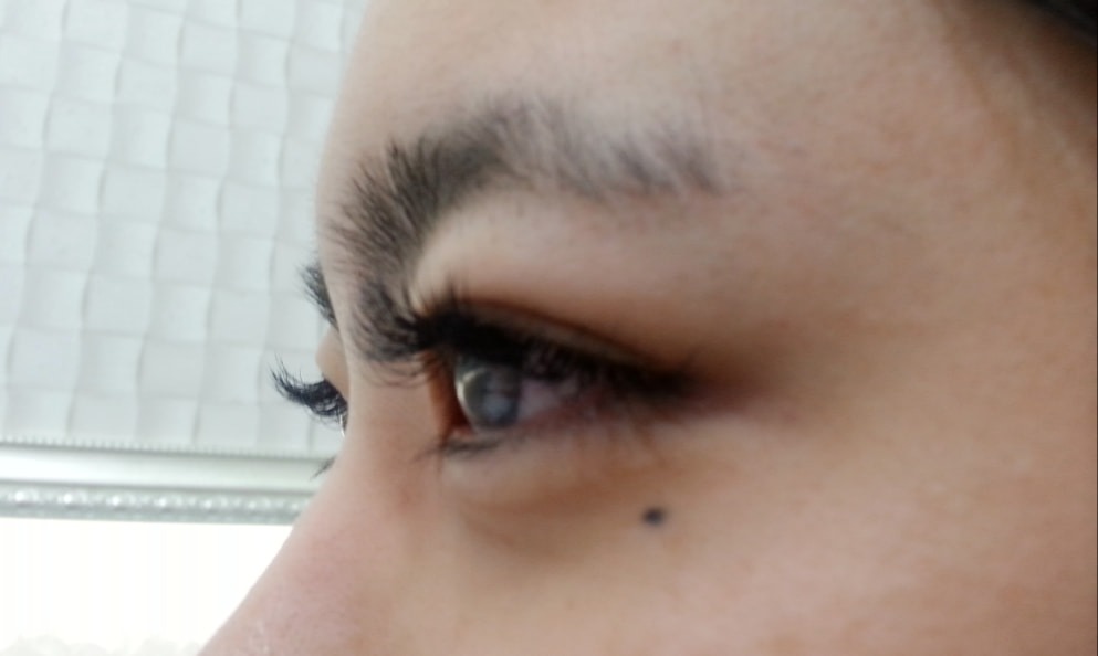 래쉬피 picture 4