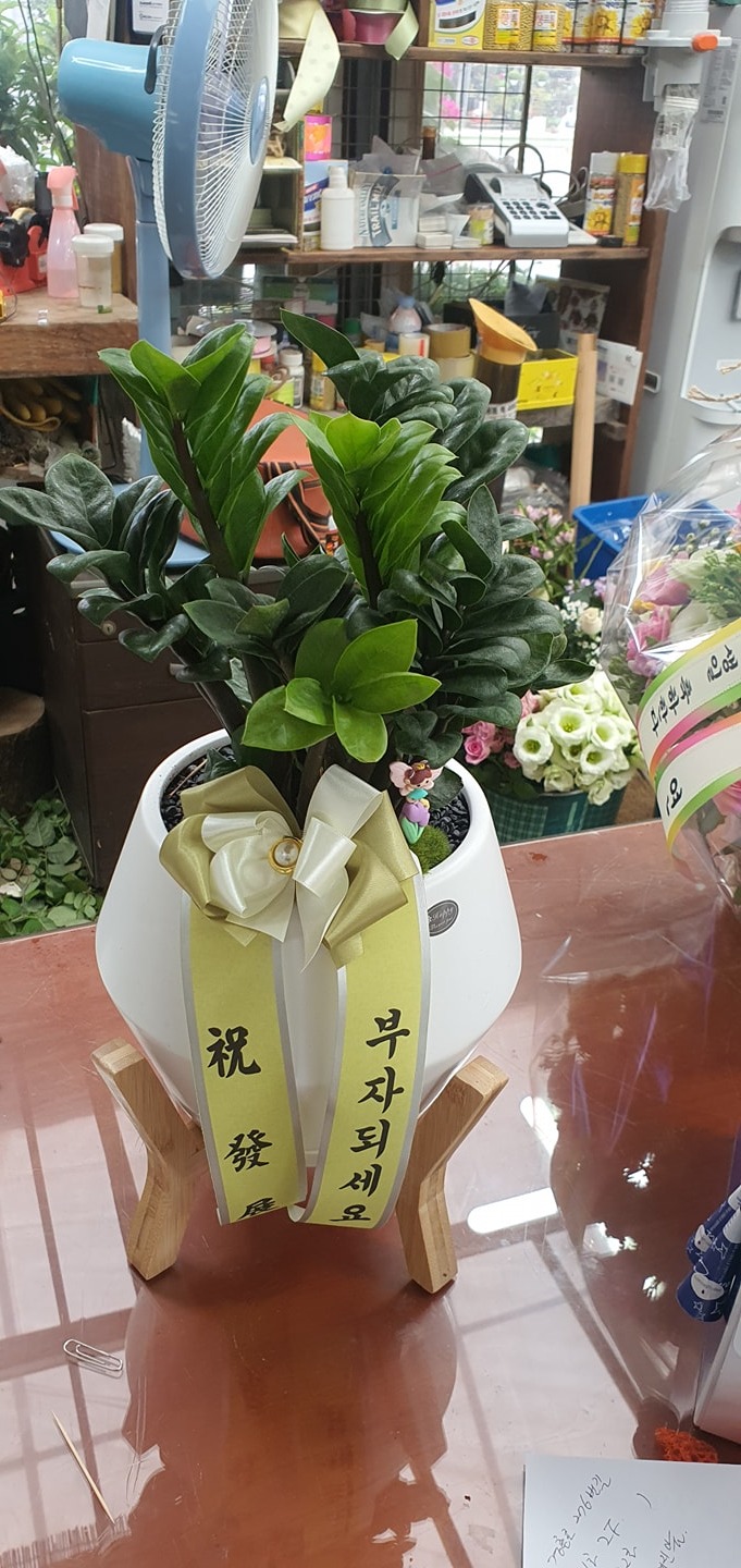 인창농원  picture 6