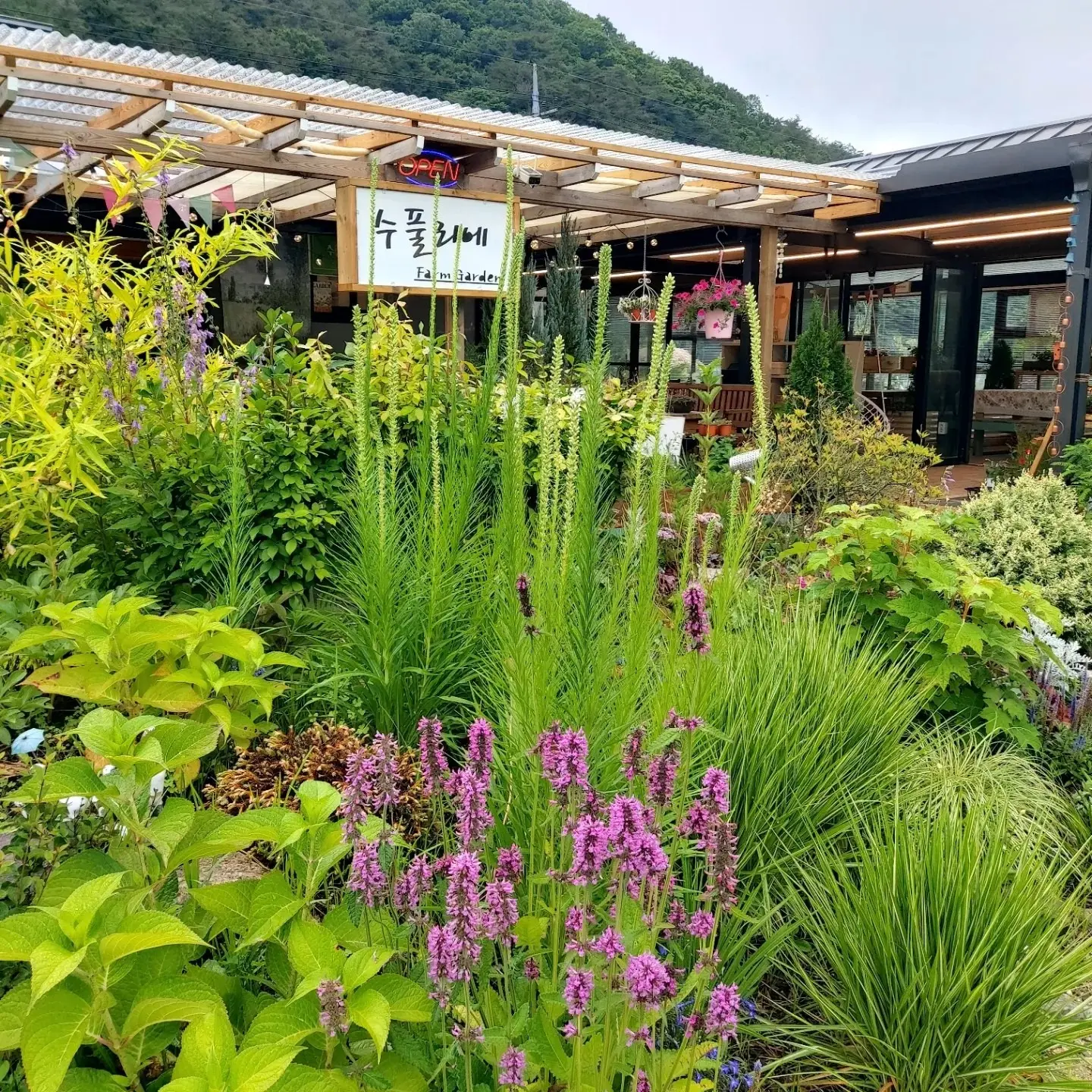 수풀리에 | 충청북도 보은군 속리산면 | 장소대여 | 당근 동네 업체