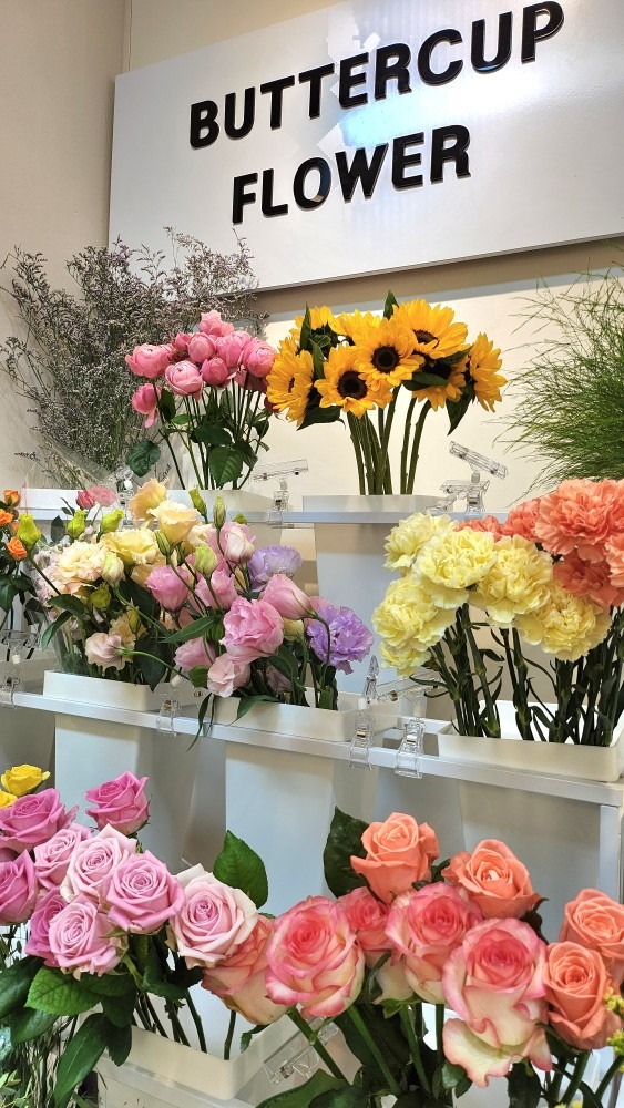 버터컵플라워 picture 0