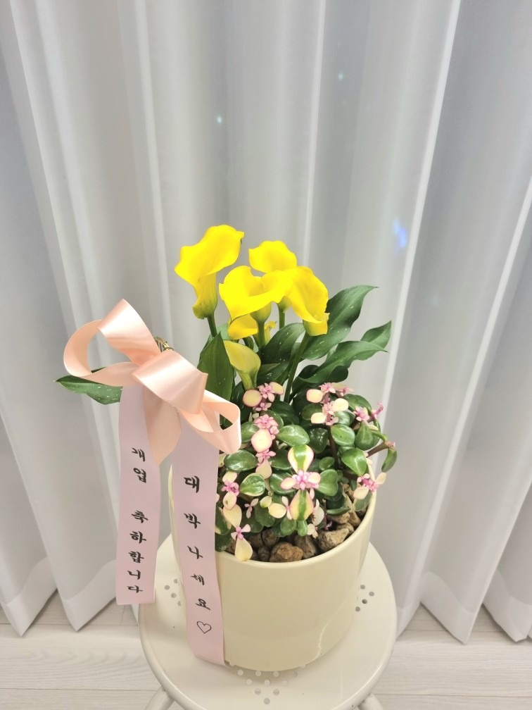 꽃그린피움(꽃집) picture 6