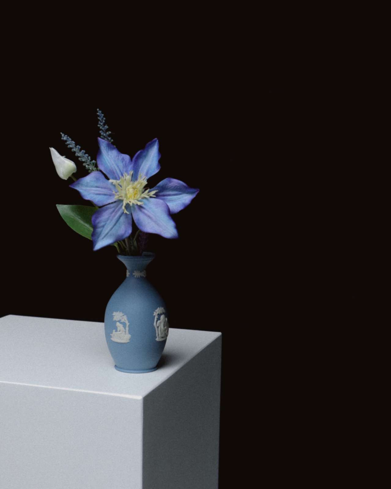 파인드유어플러스 picture 6