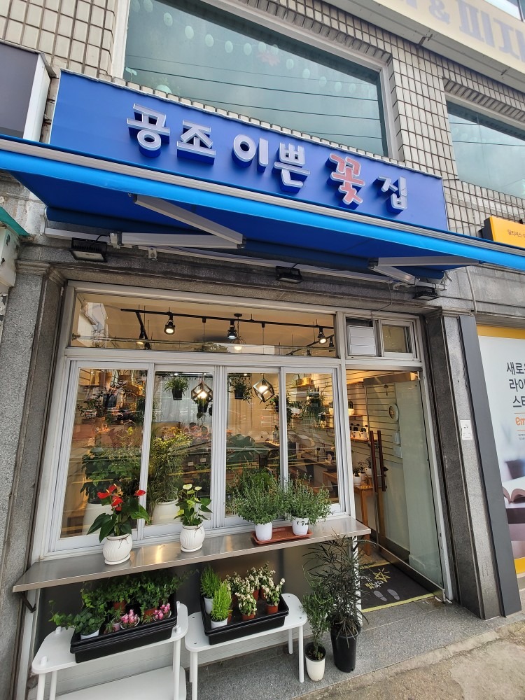 공조이쁜꽃집  picture 1
