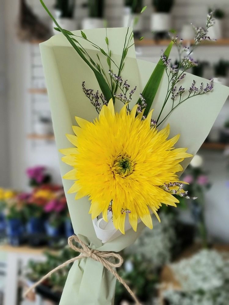 공조이쁜꽃집  picture 5