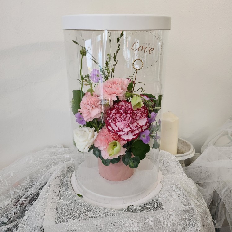 Blume de ��효제 picture 3