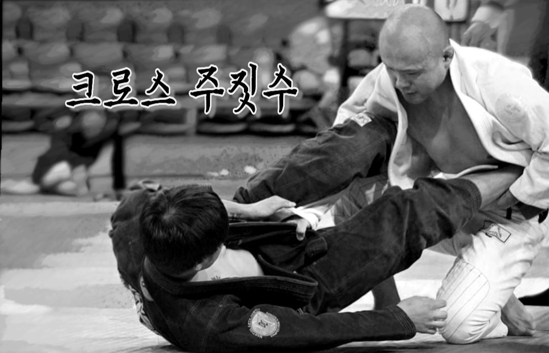 크로스주짓수 picture 0