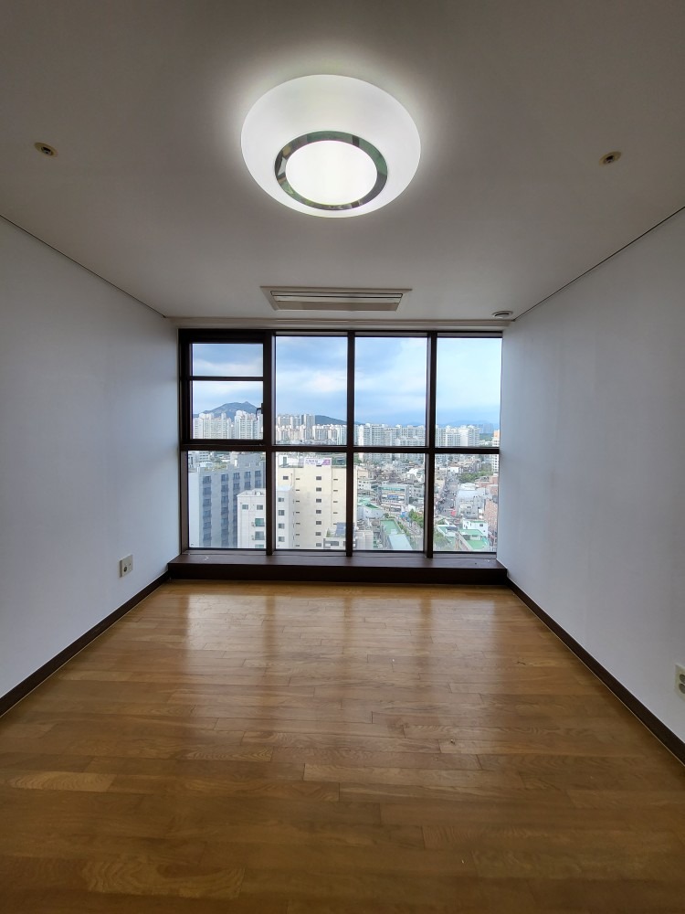영호도배고수 picture 4