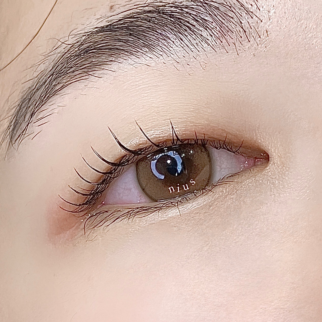 니어스아이래쉬 picture 8