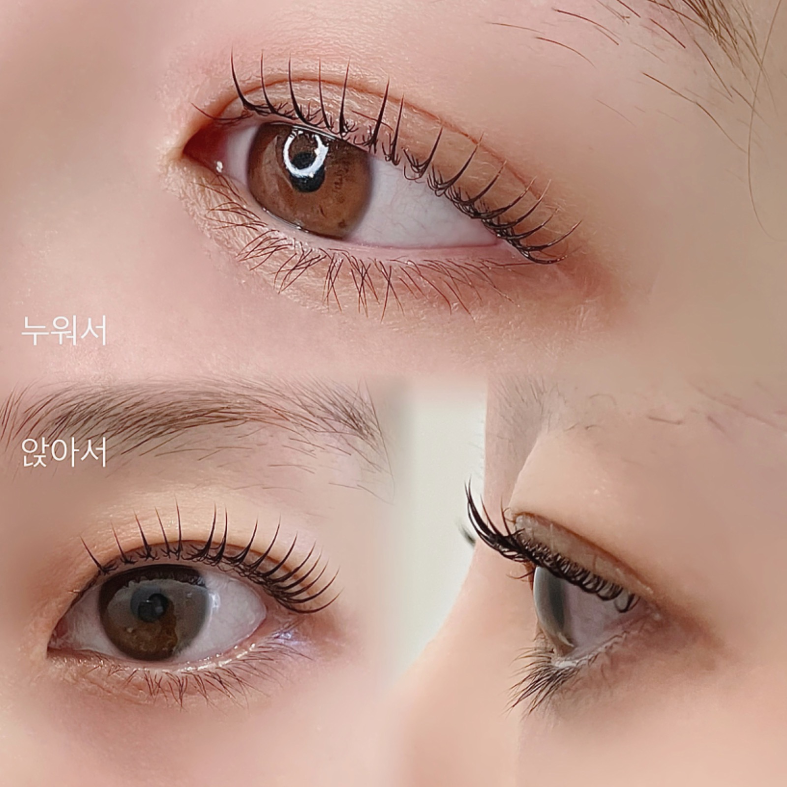 니어스아이래쉬 picture 4
