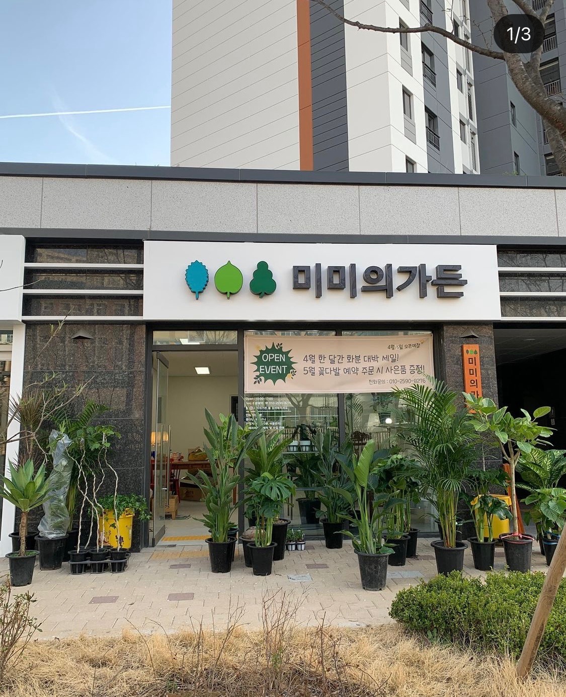 미미의가든 picture 0