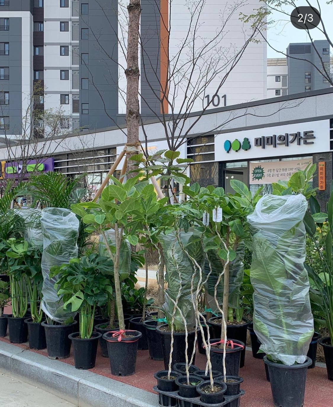 미미의가든 picture 2