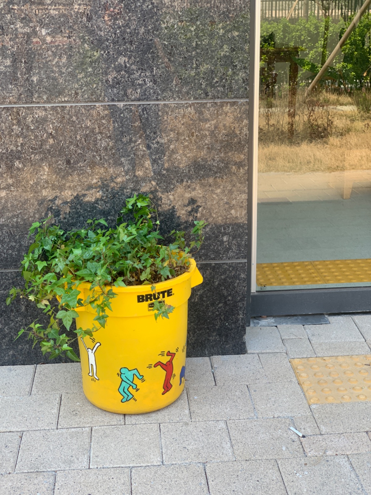 미미의가든 picture 5