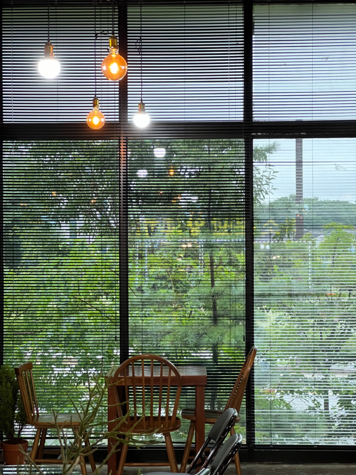 오렌지선셋 picture 4