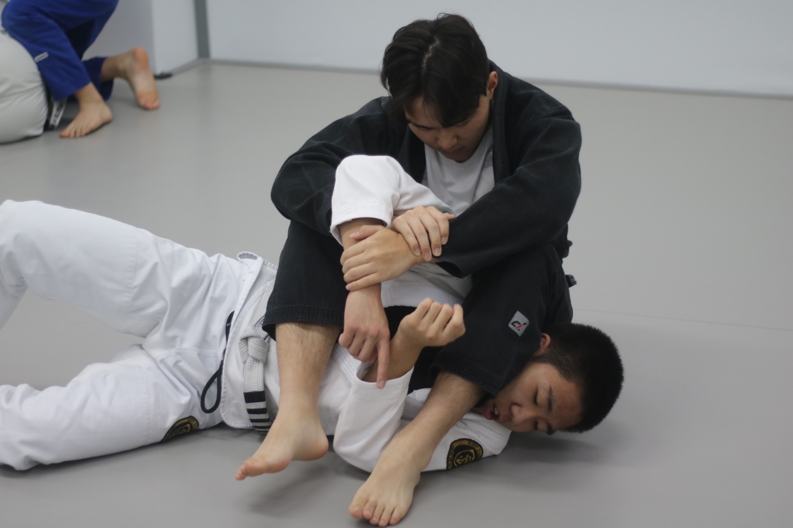 철산주짓수 picture 5