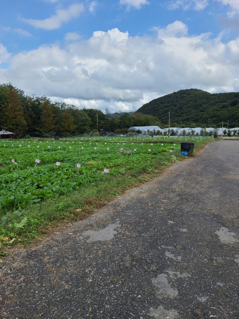 주말농장분양 | 동네업체 주말농장분양 | 동네업체