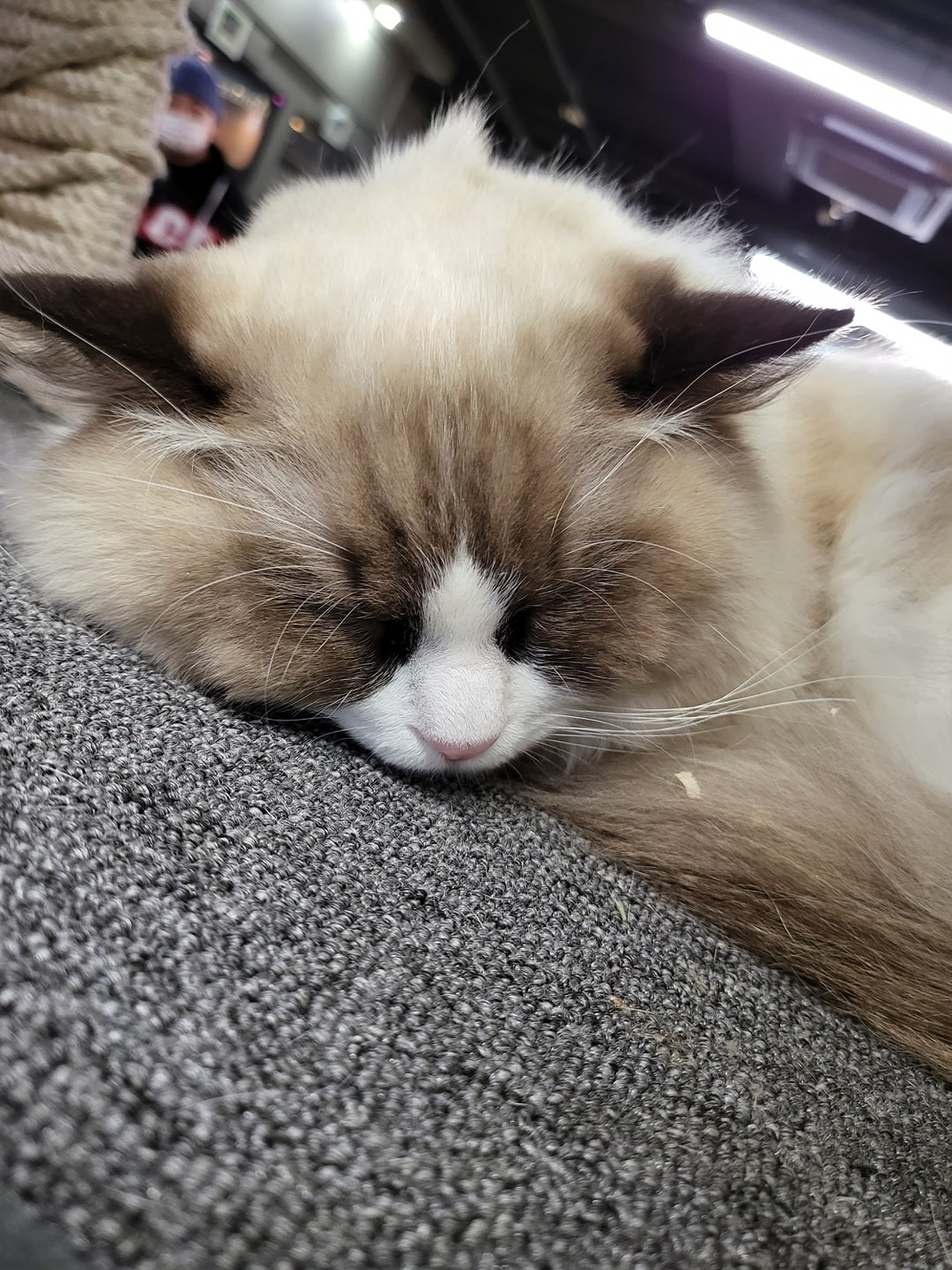 펫홈포토 picture 0