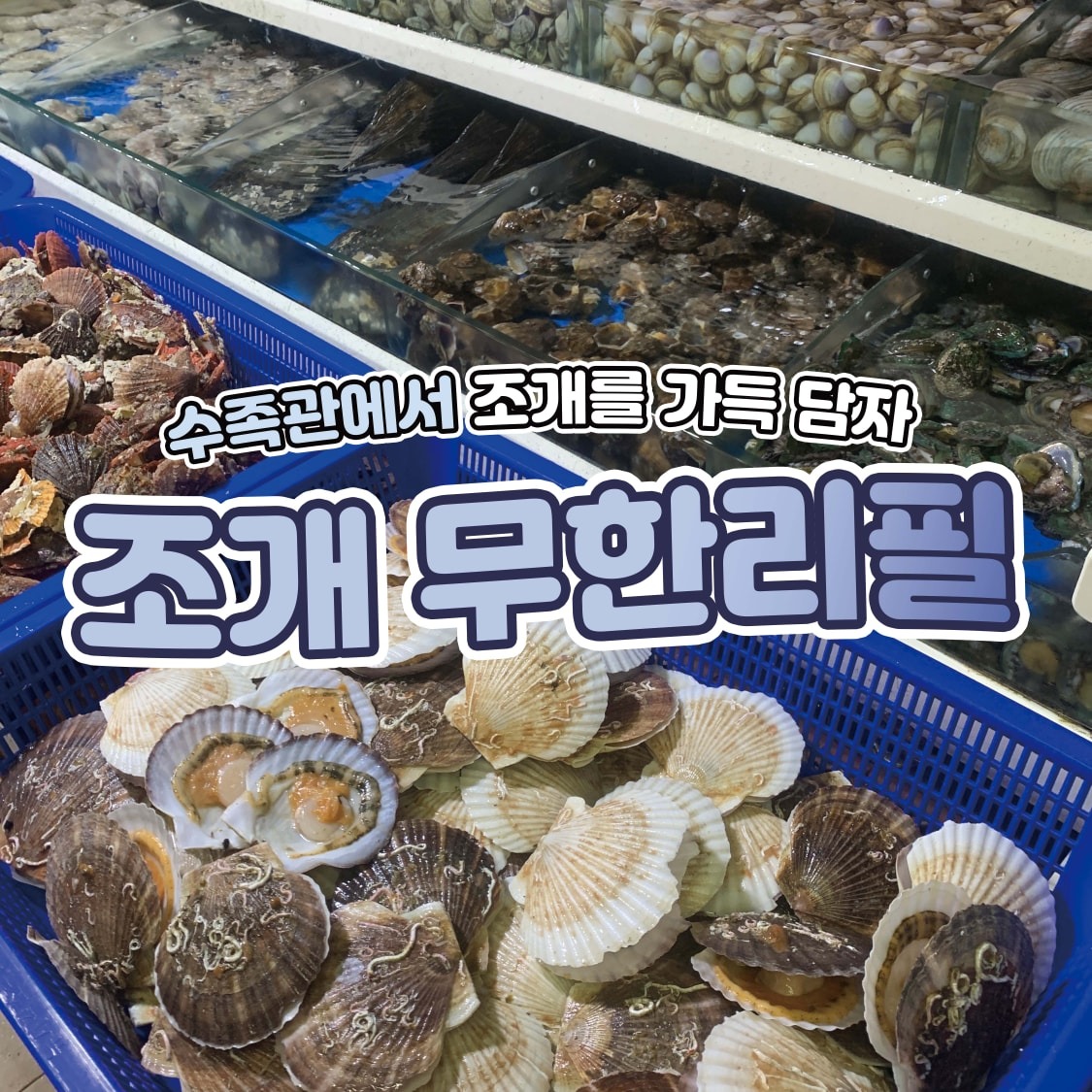 원주조개창고 picture 1