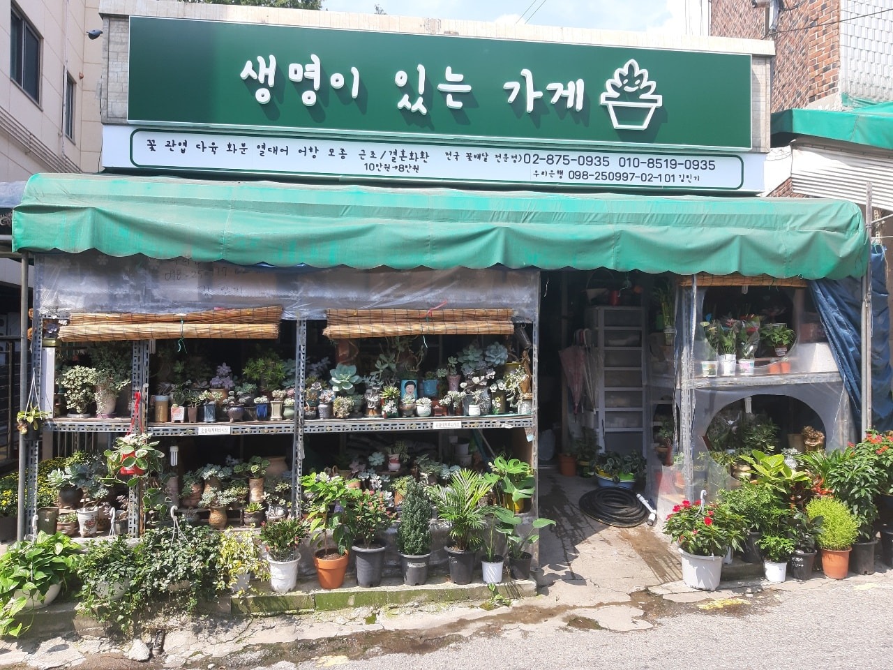 생명이있는가게 picture 0