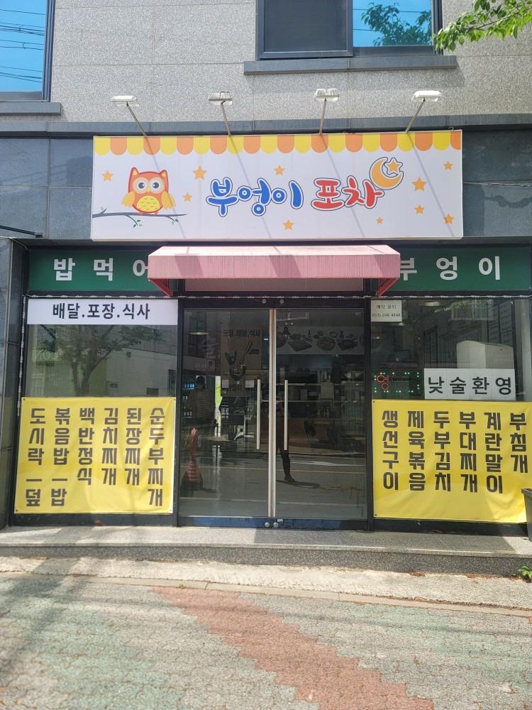 부엉이 picture 0