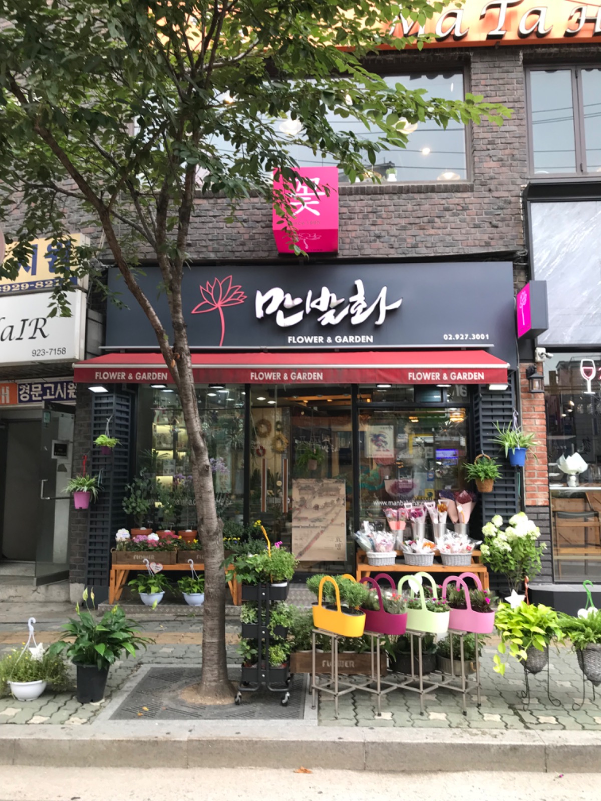 만발화 picture 0