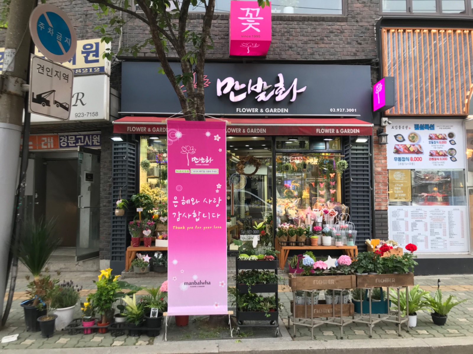 만발화 picture 3