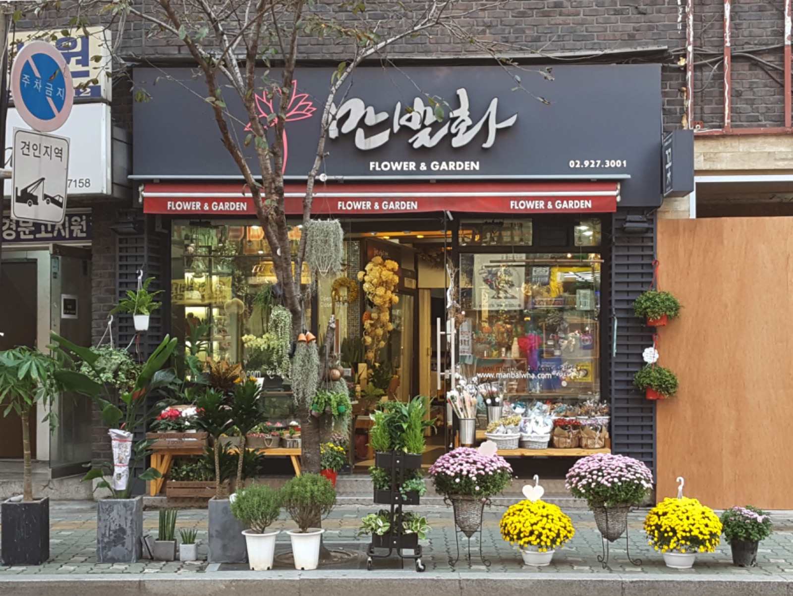 만발화 picture 4
