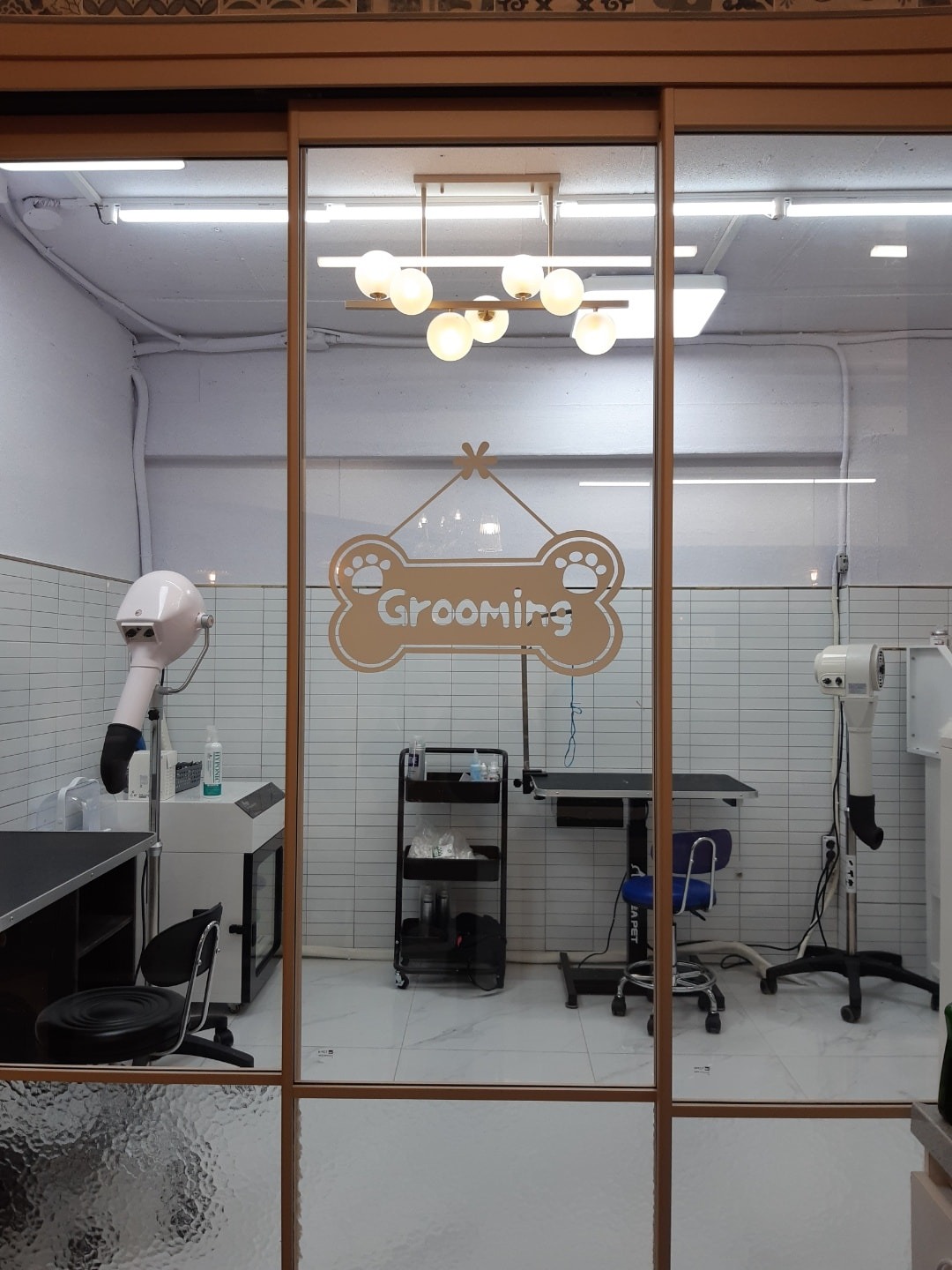 메리몰펫샵문현점 picture 1