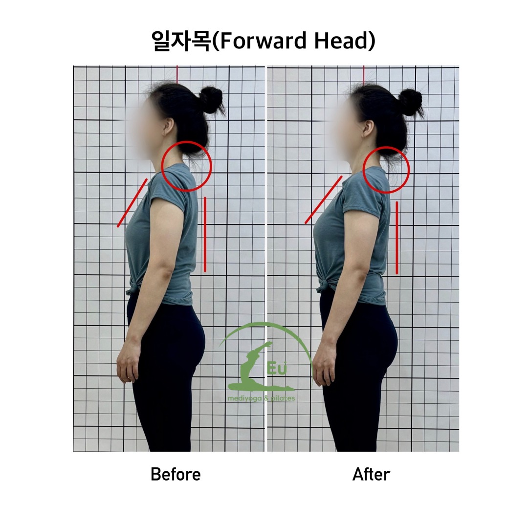 유메디요가필라테스 picture 6