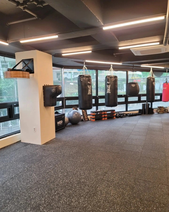TSQ BOXING  picture 1