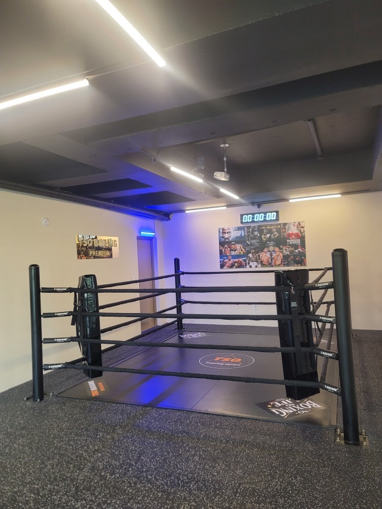 TSQ BOXING  picture 4