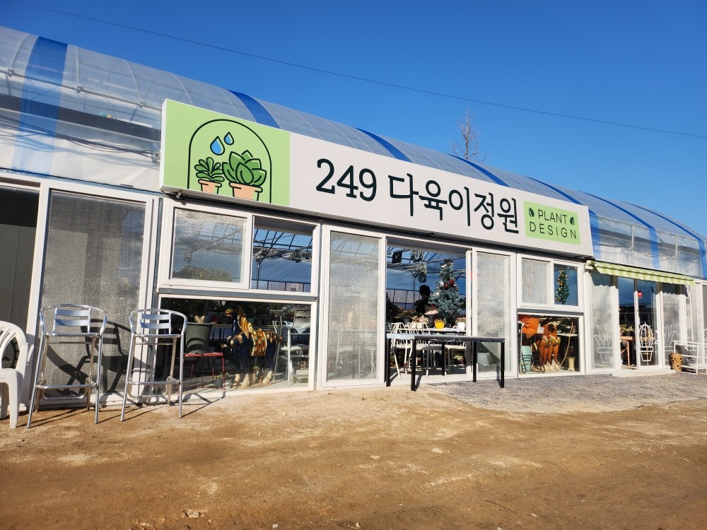 249다육이정원 picture 3