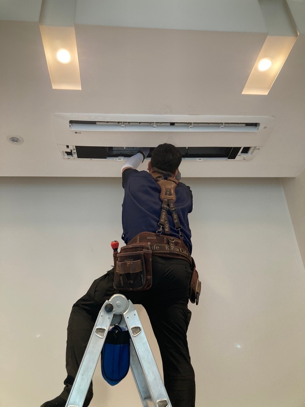 반디크린 picture 0