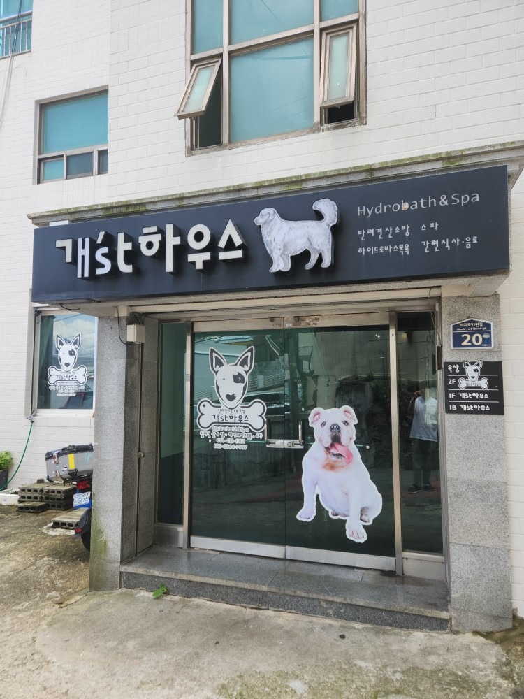 동물사랑애견의집 picture 8