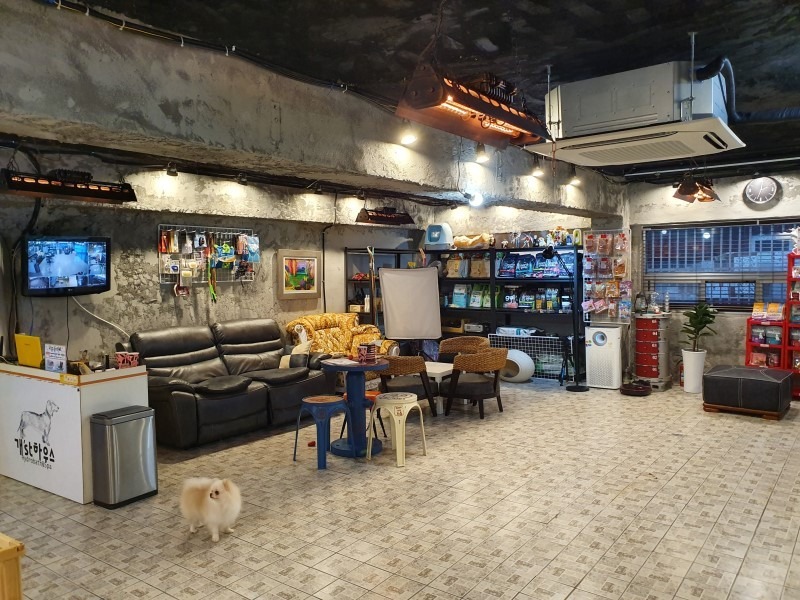 동물사랑애견의집 picture 9