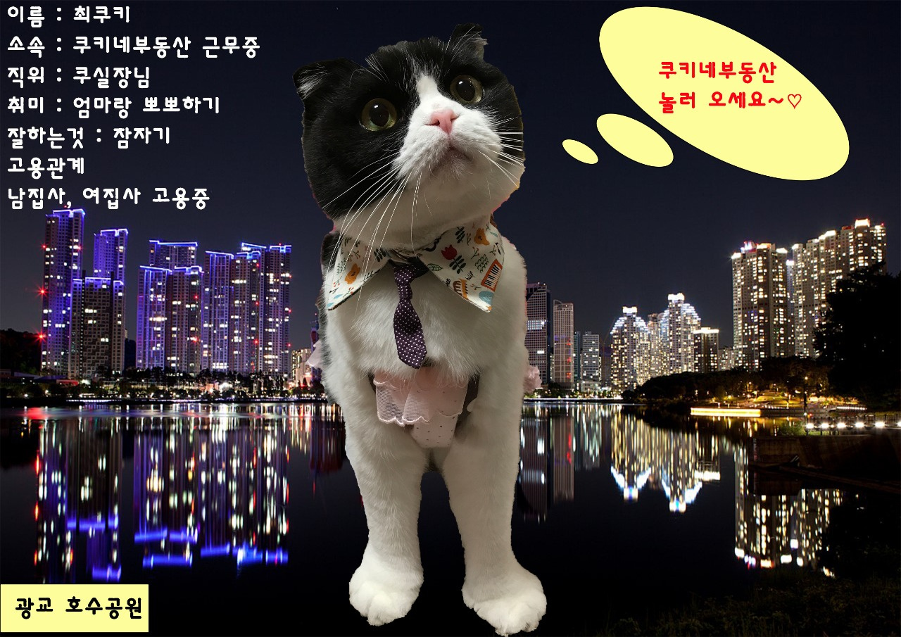 쿠키네부동산공인중개사사무소