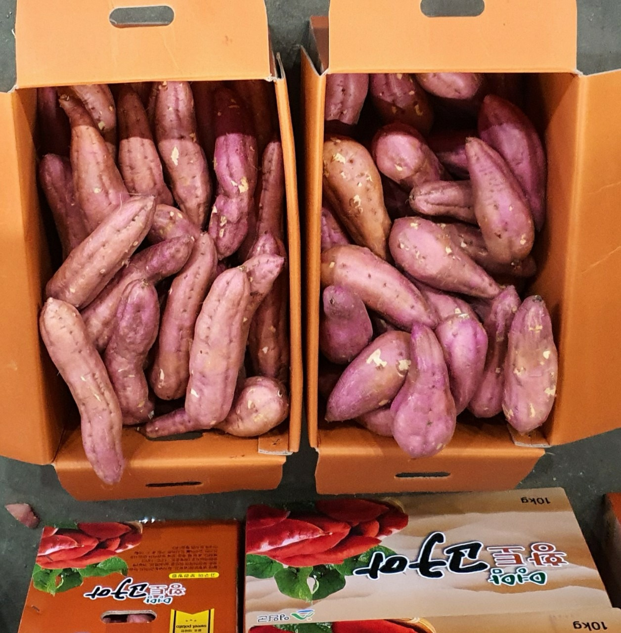 싱싱농수산
