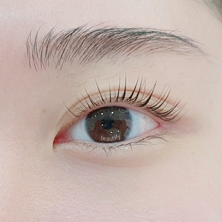 속눈썹연장전문 뷰티파이 (압구정역)
