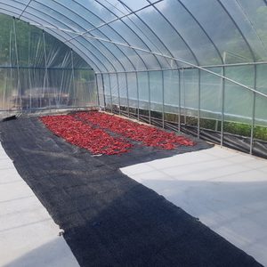 청암농원