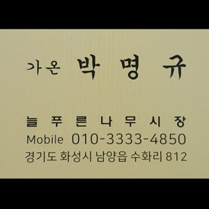늘푸른나무시장